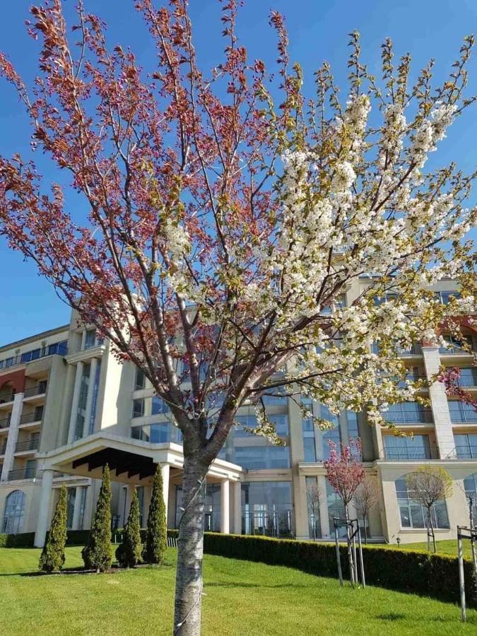 Lighthouse 3 Bedrooms Villa F36 Balchik Bagian luar foto