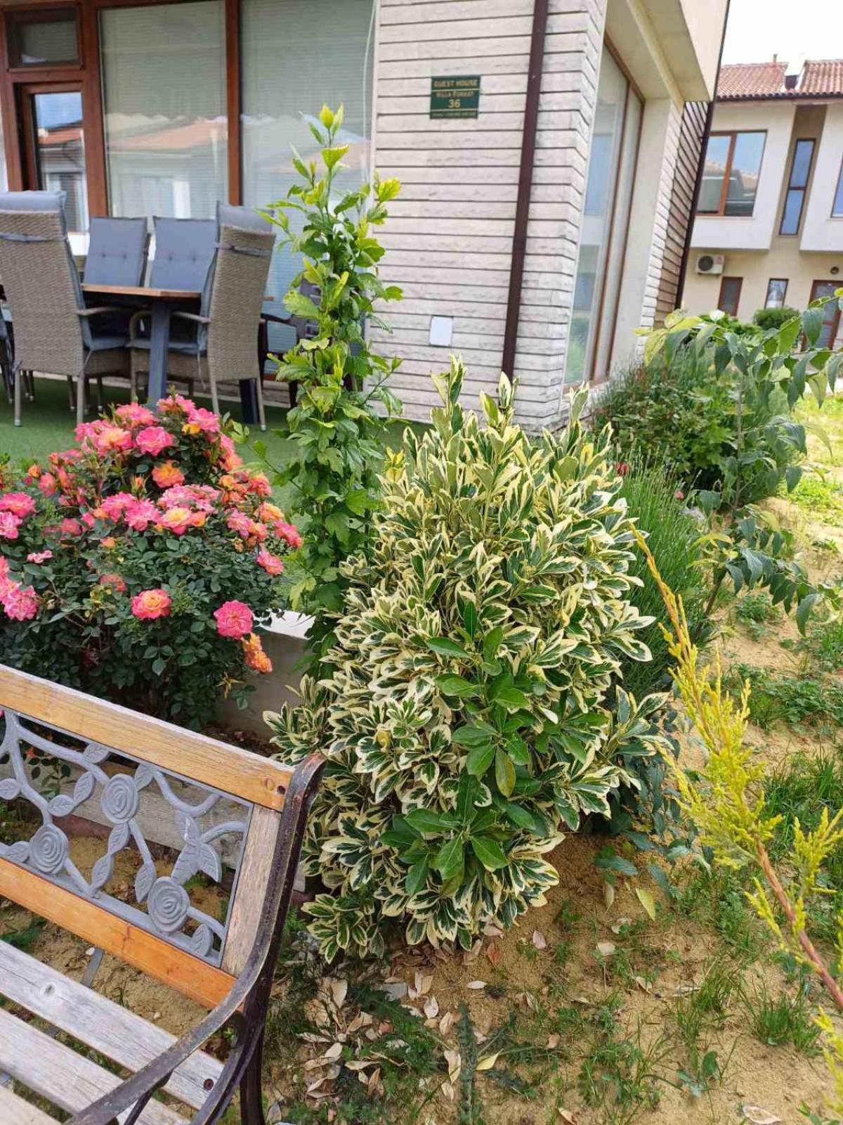 Lighthouse 3 Bedrooms Villa F36 Balchik Bagian luar foto